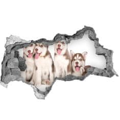 Wallmuralia.sk Diera 3D fototapeta nálepka Husky šteňatá 150x115 cm