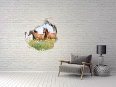 Wallmuralia.sk Diera 3D fototapety nálepka Dva kone v kluse 100x100 cm