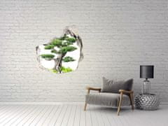 Wallmuralia.sk Diera 3D fototapety nálepka Bonsai strom 125x125 cm