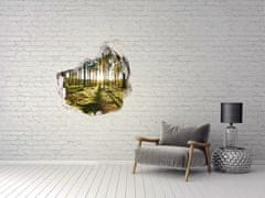 Wallmuralia.sk Diera 3D fototapety na stenu Borovica lesná 75x75 cm