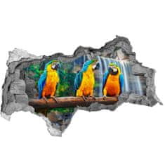 Wallmuralia.sk Diera 3D fototapeta nálepka Papagáje na vetve 95x73 cm