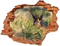 Wallmuralia.sk Diera 3D v stene na stenu Jeleň v poli 148x115 cm