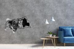 Wallmuralia.sk Diera 3D fototapeta nálepka Tiger 150x115 cm