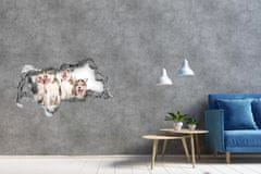 Wallmuralia.sk Diera 3D fototapeta nálepka Husky šteňatá 150x115 cm