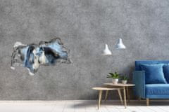 Wallmuralia.sk Diera 3D fototapeta nálepka Gray kone v zime 150x115 cm