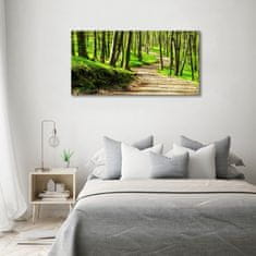 Wallmuralia.sk Foto obraz sklo tvrzené Chodník v lese 100x50 cm 2 prívesky