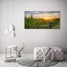 Wallmuralia.sk Foto obraz akryl do obývačky Pole pšenice 120x60 cm 2 prívesky