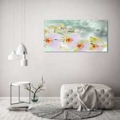 Wallmuralia.sk Foto obraz akryl do obývačky Biela orchidea 100x50 cm 2 prívesky