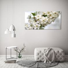 Wallmuralia.sk Foto obraz akryl do obývačky Kvety višne 140x70 cm 2 prívesky