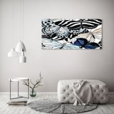 Wallmuralia.sk Foto obraz akryl do obývačky Motýle a kvety 100x50 cm 2 prívesky