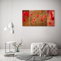 Wallmuralia.sk Foto obraz akryl do obývačky Maky triptych 125x50 cm 2 prívesky