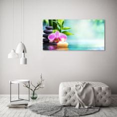 Wallmuralia.sk Foto obraz akryl do obývačky Orchidea bambus 120x60 cm 2 prívesky