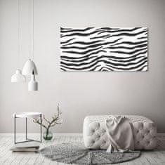 Wallmuralia.sk Foto obraz akryl do obývačky Zebra pozadie 100x50 cm 2 prívesky