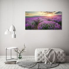 Wallmuralia.sk Foto obraz akrylový na stenu Pole levanduľa 100x50 cm 2 prívesky