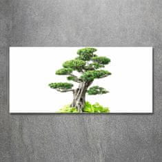 Wallmuralia.sk Foto obraz akryl zvislý do obývačky Bonsai 125x50 cm 2 prívesky