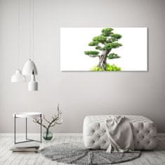 Wallmuralia.sk Foto obraz akryl zvislý do obývačky Bonsai 125x50 cm 2 prívesky