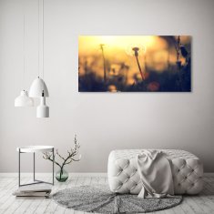 Wallmuralia.sk Foto obraz akrylové sklo Púpava 125x50 cm 2 prívesky