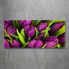 Wallmuralia.sk Foto obraz akryl do obývačky Fialové tulipány 100x50 cm 2 prívesky