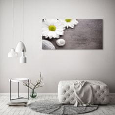 Wallmuralia.sk Foto obraz akryl do obývačky Gerbera 100x50 cm 2 prívesky