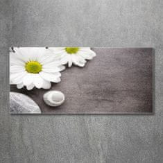 Wallmuralia.sk Foto obraz akryl do obývačky Gerbera 100x50 cm 2 prívesky