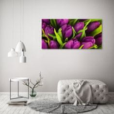 Wallmuralia.sk Foto obraz akryl do obývačky Fialové tulipány 100x50 cm 2 prívesky