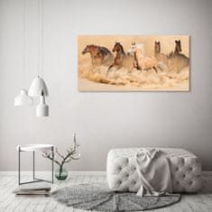 Wallmuralia.sk Foto obraz akrylové sklo Kone púšť 120x60 cm 2 prívesky