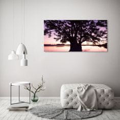 Wallmuralia.sk Foto obraz akryl zvislý do obývačky Stromy a jazero 120x60 cm 2 prívesky