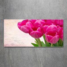 Wallmuralia.sk Foto obraz akrylový na stenu Ružové tulipány 100x50 cm 2 prívesky