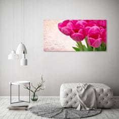 Wallmuralia.sk Foto obraz akrylový na stenu Ružové tulipány 100x50 cm 2 prívesky