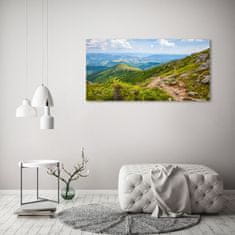 Wallmuralia.sk Foto obraz akryl do obývačky Zelené pahorky 120x60 cm 2 prívesky