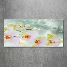 Wallmuralia.sk Foto obraz akryl do obývačky Biela orchidea 100x50 cm 2 prívesky