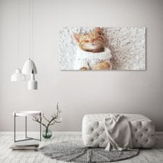 Wallmuralia.sk Foto obraz akryl do obývačky Mačka vo svetri 100x50 cm 2 prívesky