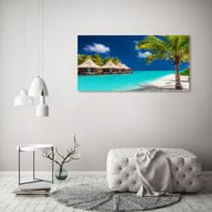 Wallmuralia.sk Foto obraz akryl do obývačky Maledivy bungalovy 100x50 cm 2 prívesky