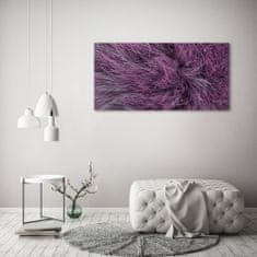 Wallmuralia.sk Foto obraz akryl do obývačky Růžvý kožík 120x60 cm 2 prívesky