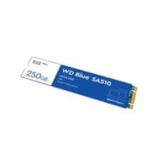 WD Blue SA510/250GB/SSD/M.2 SATA/5R