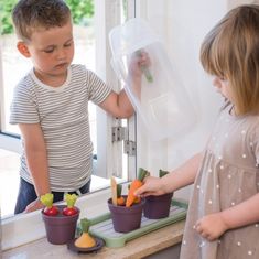 Dantoy Green Garden sada na pestovanie v skleníku 18ks 24m+