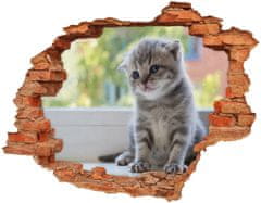 Wallmuralia.sk Diera 3D v stene na stenu Malá mačka na okne 90x70 cm