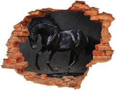 Wallmuralia.sk Diera 3D v stene na stenu Čierny kôň 90x70 cm