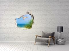 Wallmuralia.sk Diera 3D v stene na stenu Čajka na pláži 75x75 cm