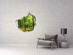 Wallmuralia.sk Diera 3D fototapety nálepka Lesné dráha 75x75 cm