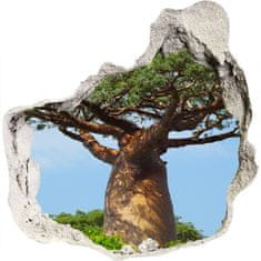 Wallmuralia.sk Diera 3D fototapety nálepka Baobab 125x125 cm