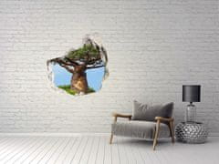 Wallmuralia.sk Diera 3D fototapety nálepka Baobab 125x125 cm