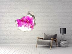 Wallmuralia.sk Diera 3D fototapety nálepka Ružová orchidea 75x75 cm