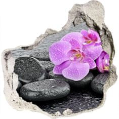 Wallmuralia.sk Diera 3D fototapety Orchidey kamene 100x100 cm