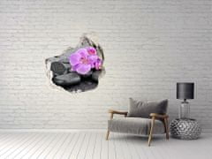 Wallmuralia.sk Diera 3D fototapety Orchidey kamene 100x100 cm