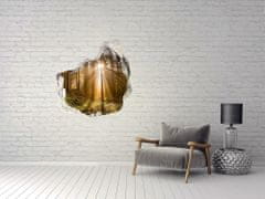 Wallmuralia.sk Diera 3D fototapety na stenu Sunlight 125x125 cm