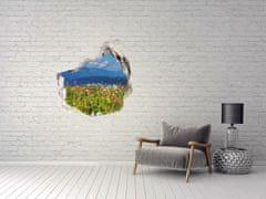 Wallmuralia.sk Diera 3D v stene na stenu Lúka v horách 100x100 cm