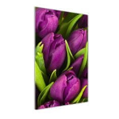 Wallmuralia.sk Vertikálny foto obraz akrylový Fialové tulipány 60x120 cm 2 prívesky