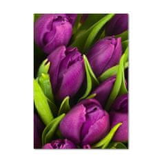 Wallmuralia.sk Vertikálny foto obraz akrylový Fialové tulipány 60x120 cm 2 prívesky