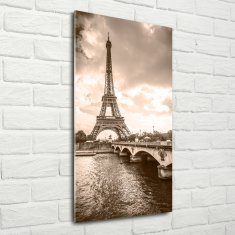 Wallmuralia.sk Vertikálny foto obraz sklenený Eiffelová veža Paríž 50x100 cm 2 prívesky